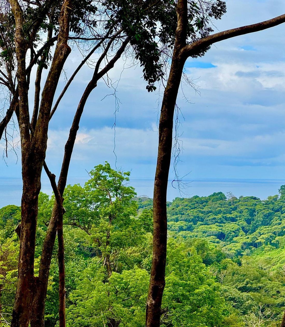 Land in Piñuela, Puntarenas Province, Costa Rica 2 - 15260958