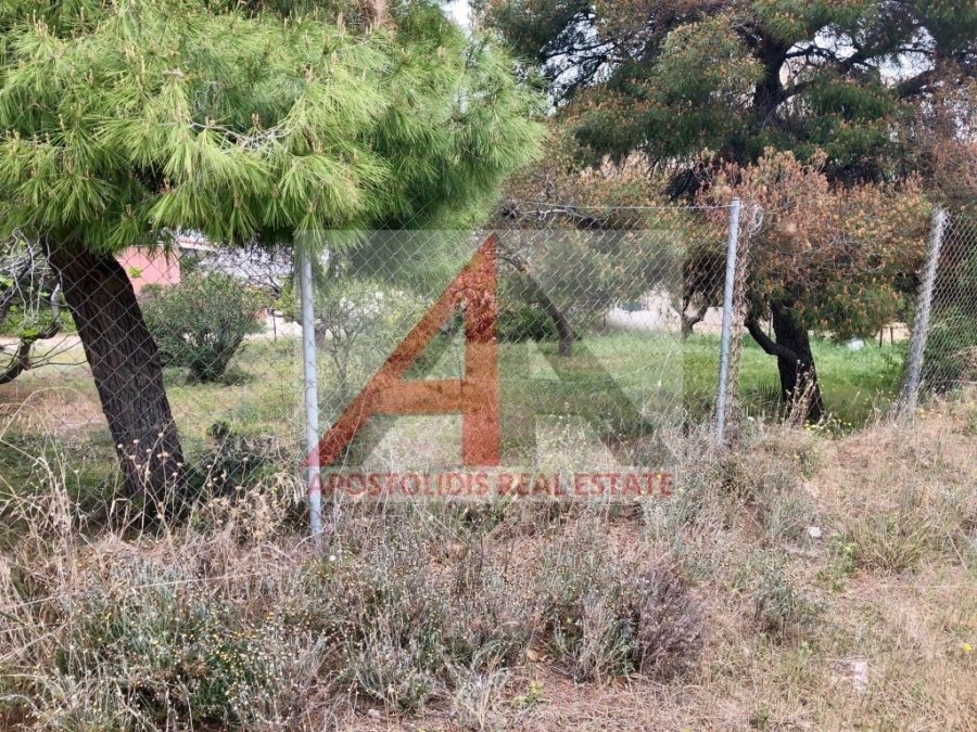 Altro a Markopoulo Mesogaias, Attica, Grecia 4 - 15262536