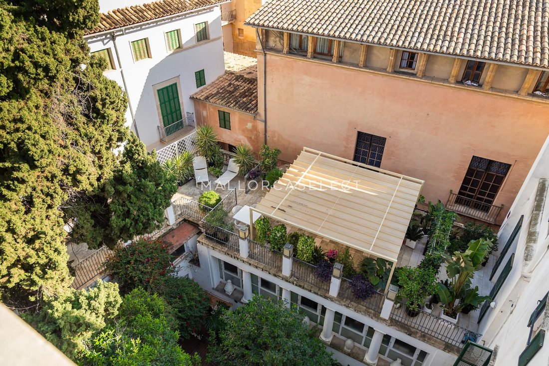 Apartment in Palma, Balearic Islands, Spain 1 - 15263620