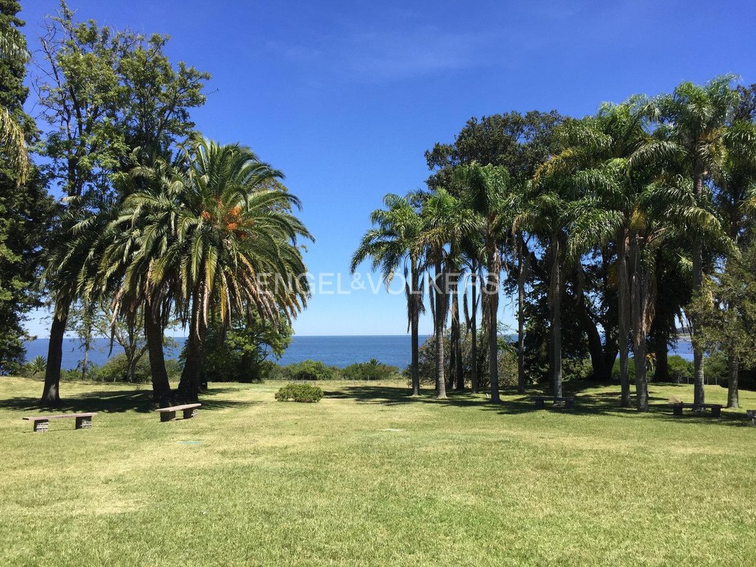 Country House in Montevideo, Departamento de Montevideo, Uruguay 2 - 15263877