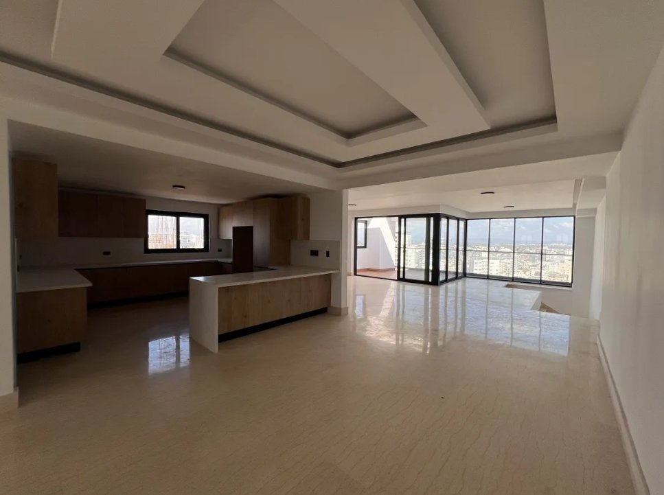 Penthouse in Santo Domingo, Distrito Nacional, Dominican Republic 3 - 15264150