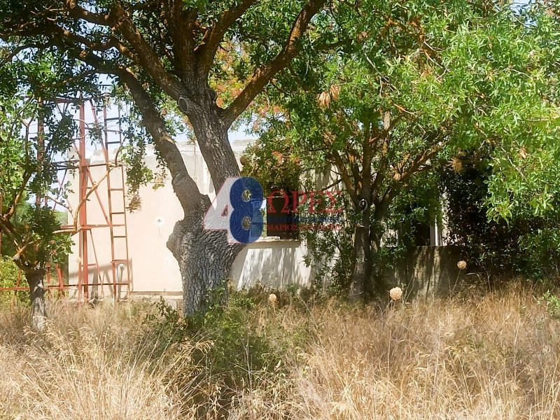 Land in Koinotita Portoxeliou, Kranidi, Greece 3 - 15264604