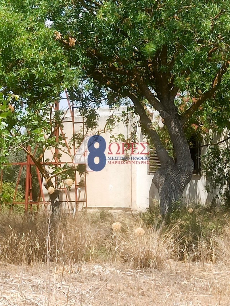 Land in Koinotita Portoxeliou, Kranidi, Greece 2 - 15264604