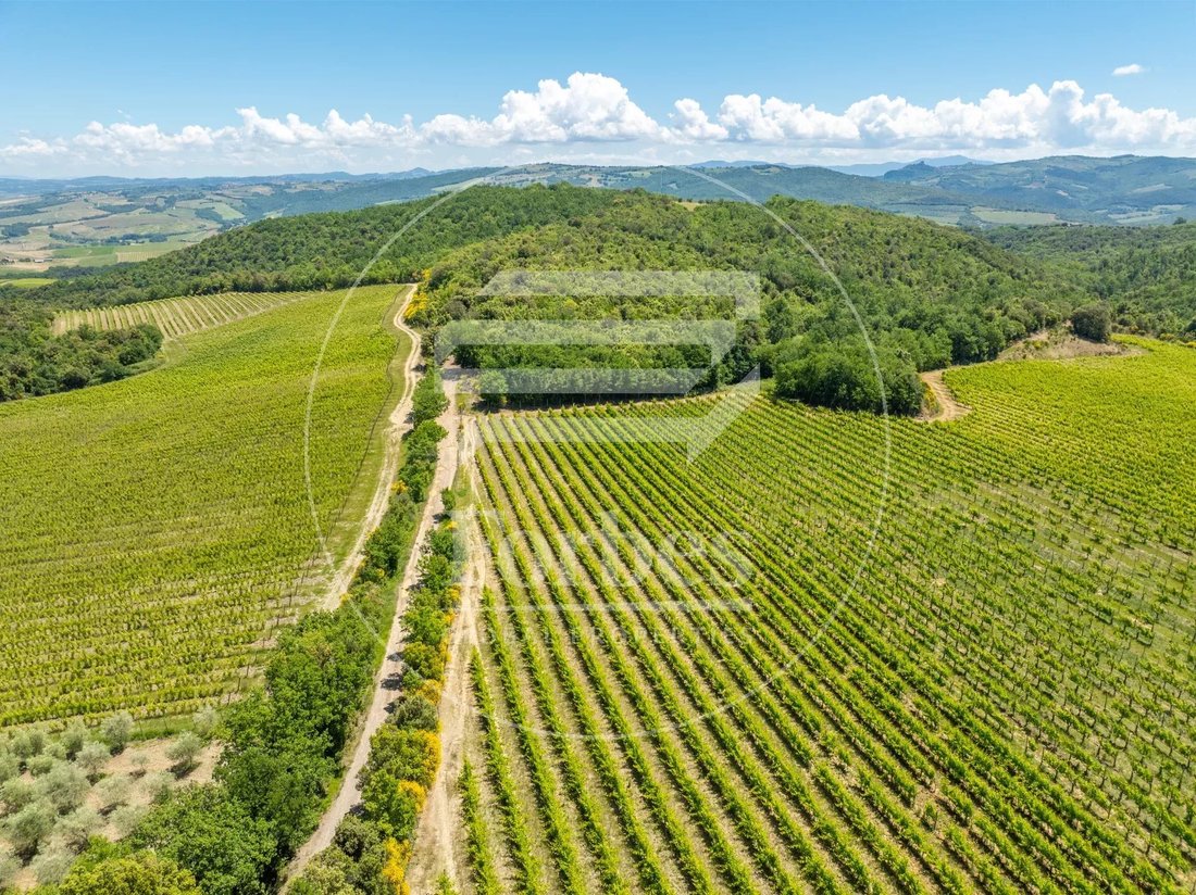 Autres à Castelnuovo dell'Abate, Toscane, Italie 2 - 15059493