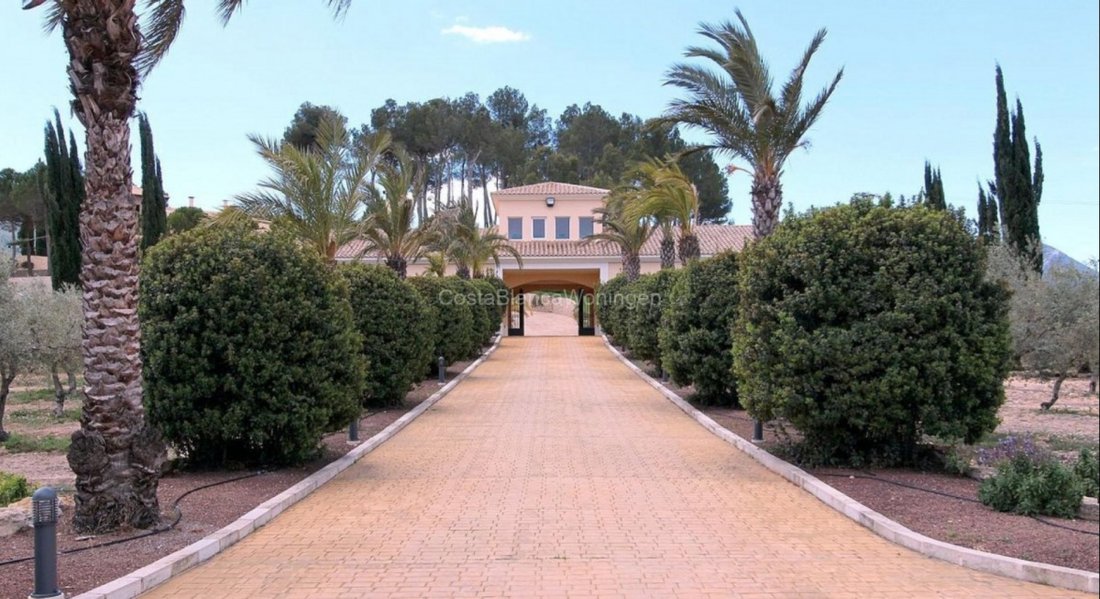 Villa in Penaguila, Valencian Community, Spain 4 - 11335038