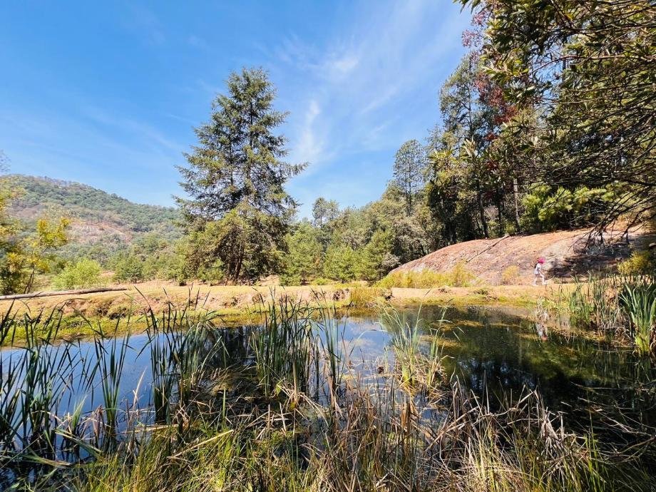 Land in Valle de Bravo, State of Mexico, Mexico 1 - 15269167