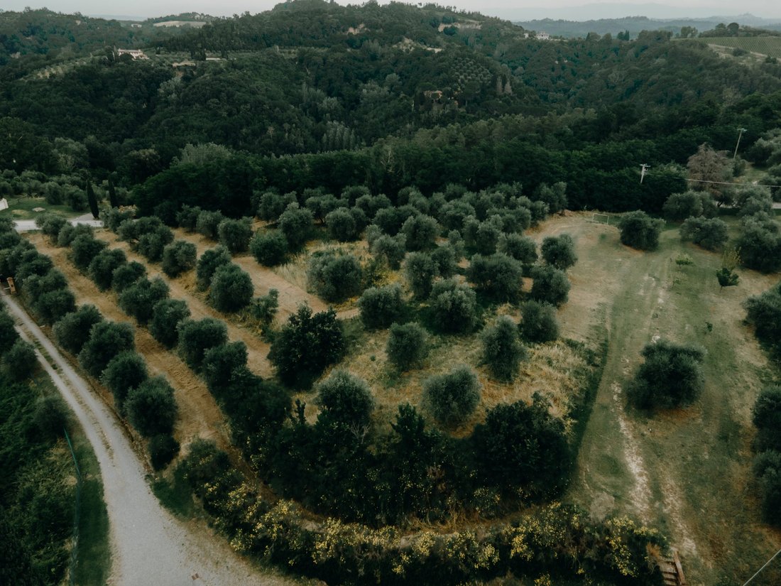 Estate in Palaia, Tuscany, Italy 4 - 15273077