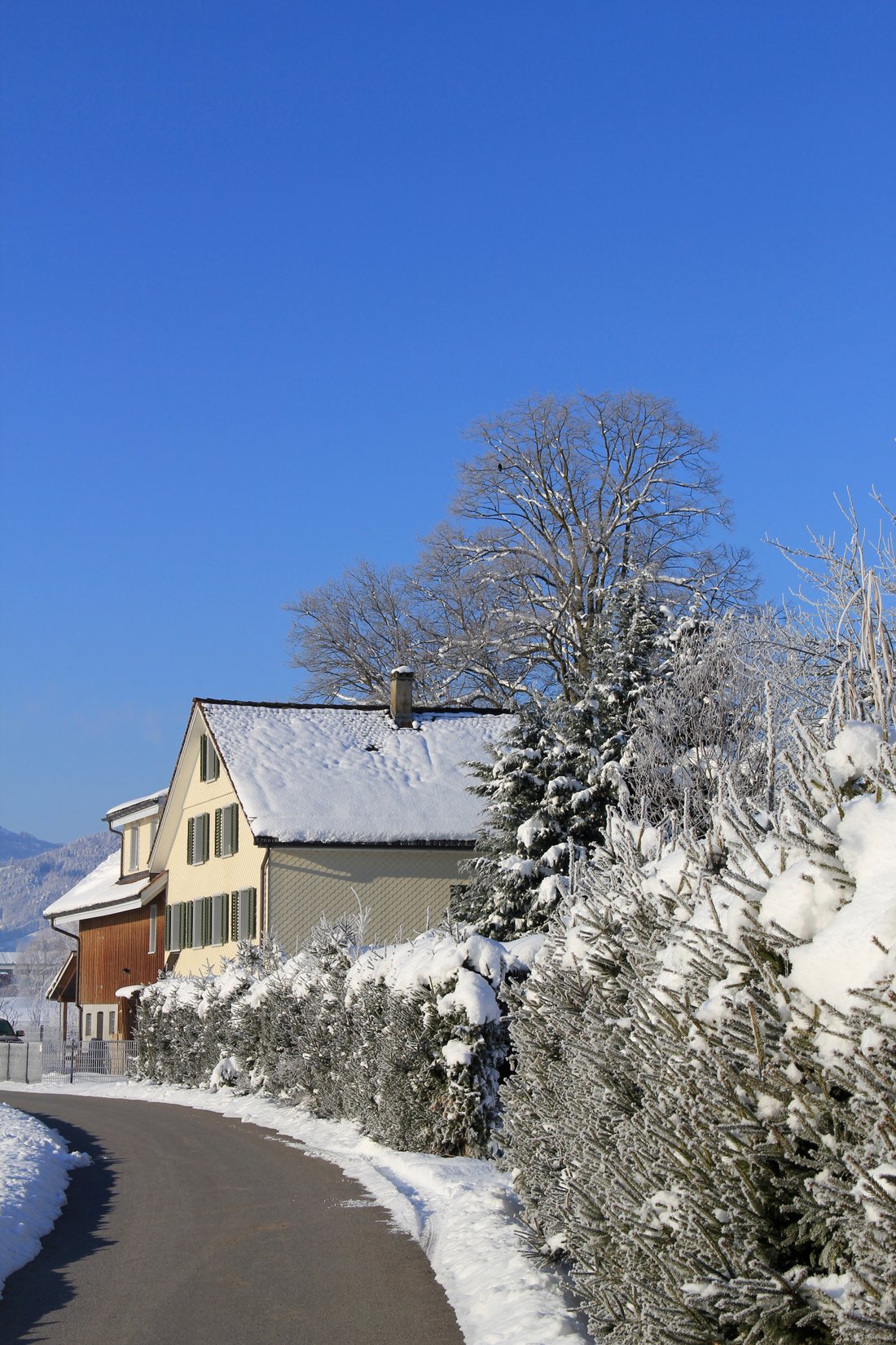 Landhaus in Altstätten, St. Gallen, Schweiz 4 - 15273335