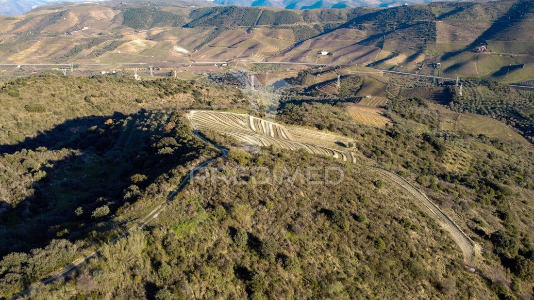 Land in Vila Nova de Foz Coa, Guarda District, Portugal 3 - 15275820