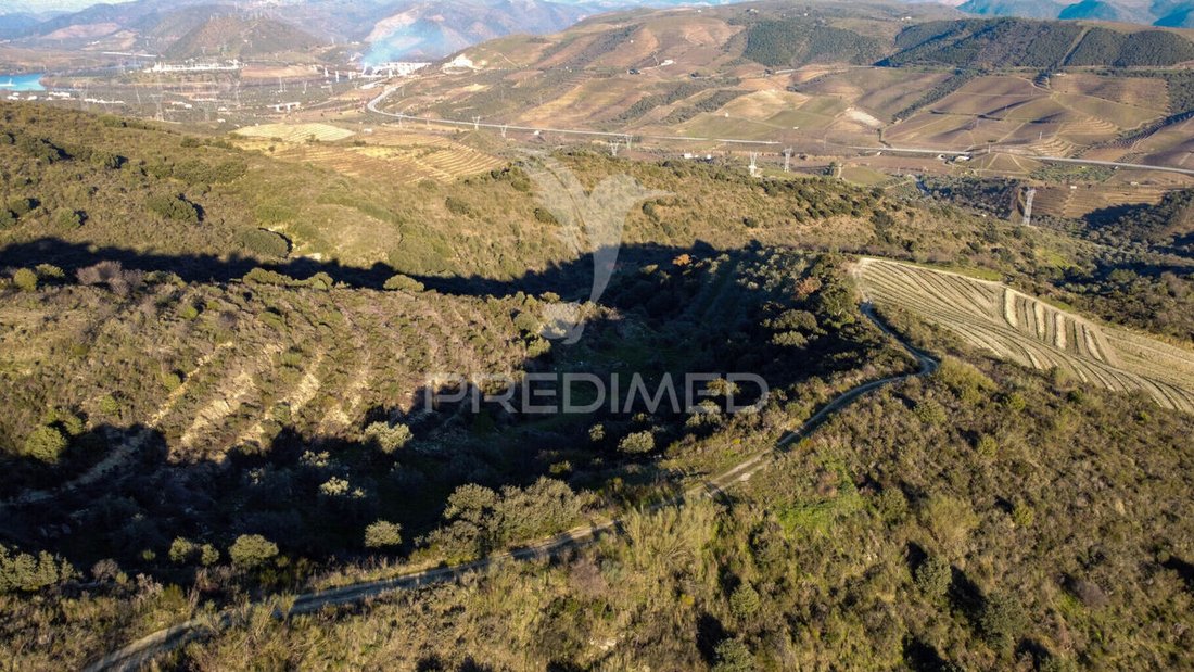Land in Vila Nova de Foz Coa, Guarda District, Portugal 4 - 15275820