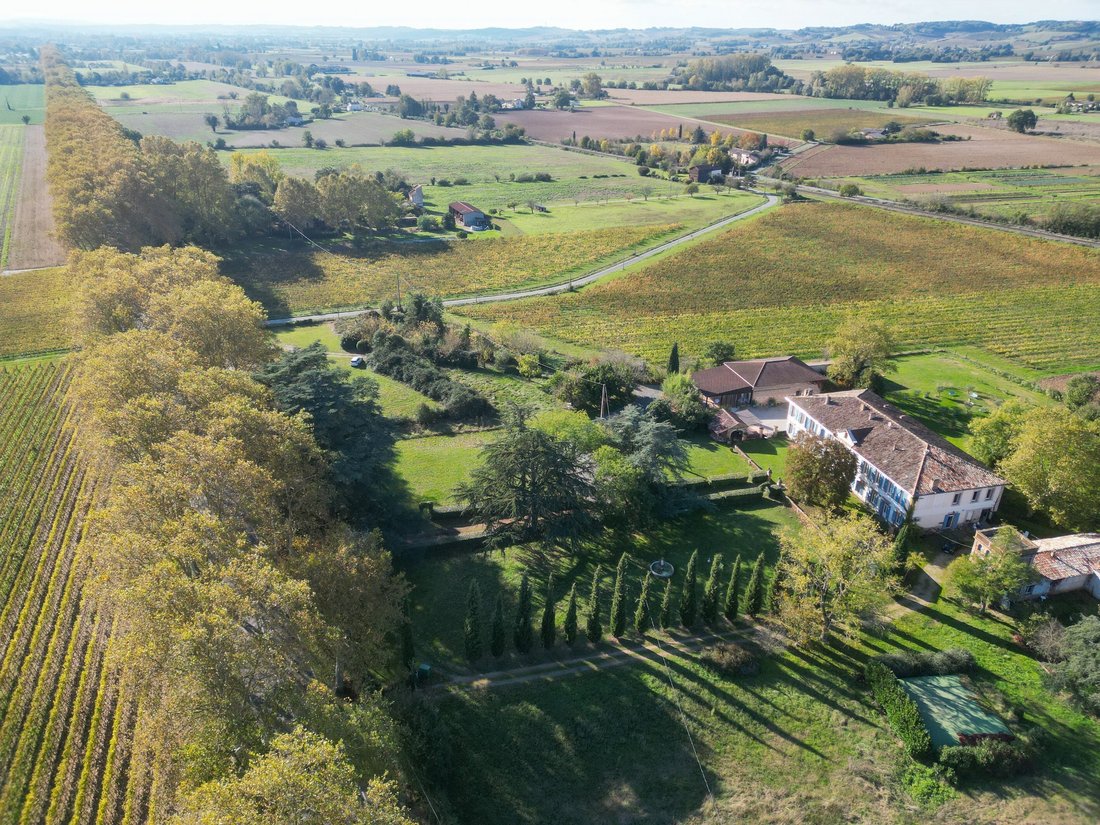 House in Rabastens, Occitania, France 2 - 15274104