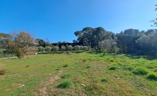 Land in Mougins, Provence-Alpes-Côte d'Azur, France 1