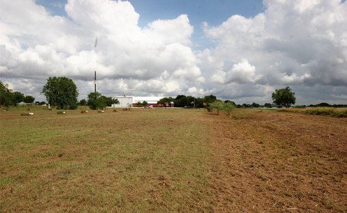 Terreno a Needville, Texas, Stati Uniti 1