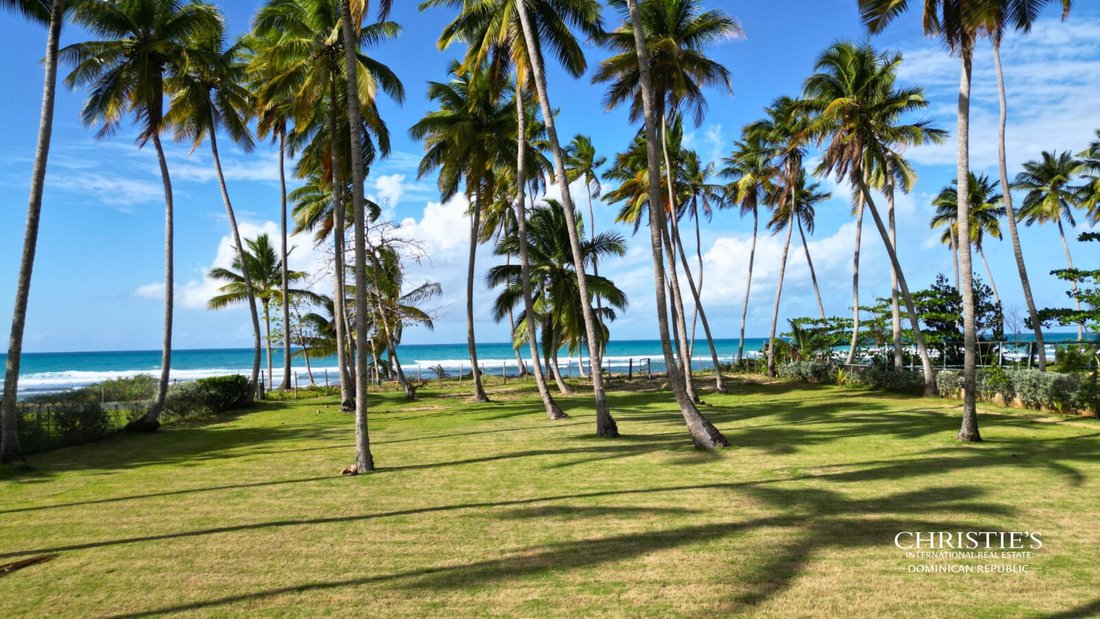 Terrain à Las Terrenas, Santa Bárbara de Samaná, République dominicaine 5 - 15276885