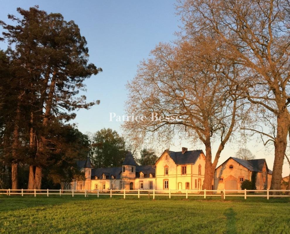 Château des Mots: Hervé Bazin’s Literary Haven in Anjou’s Golden Light
