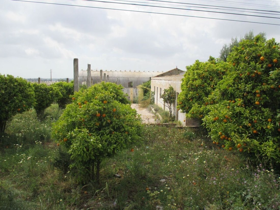 Land in Santa Barbara de Nexe, Algarve, Portugal 1 - 15285545