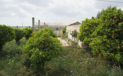 Land in Santa Barbara de Nexe, Algarve, Portugal 1