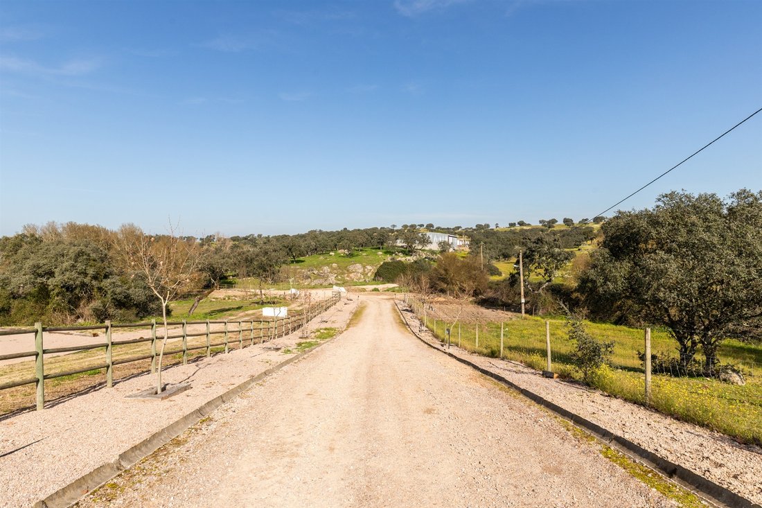 Farm Ranch in Avis, Portalegre District, Portugal 4 - 13924228