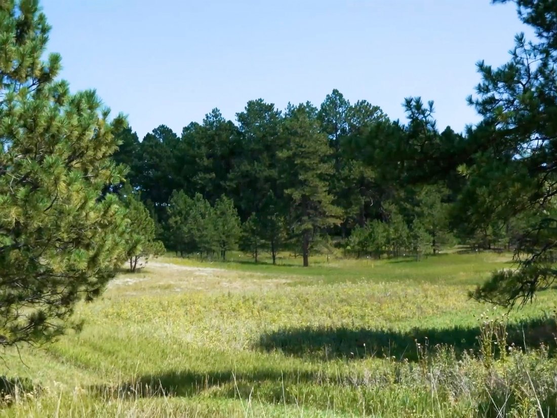 Land in Franktown, Colorado, United States 5 - 14713882