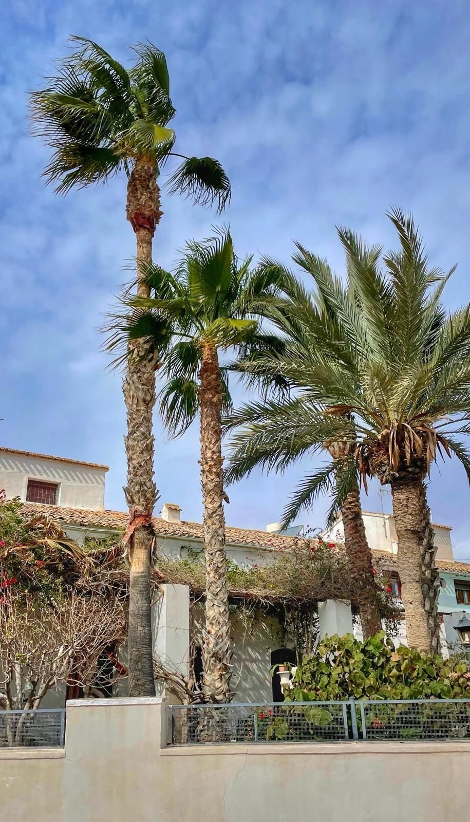 House in Mojacar, Andalusia, Spain 2 - 15180455