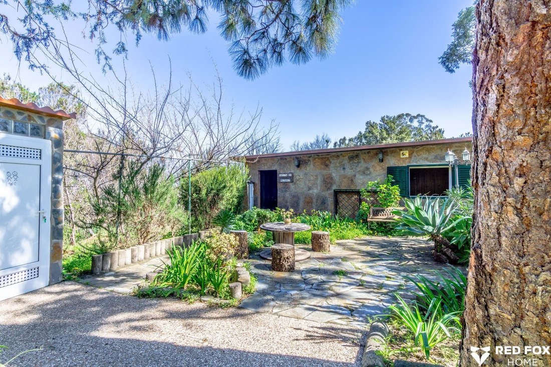 Chalet in El Sauzal, Canary Islands, Spain 4 - 15279330