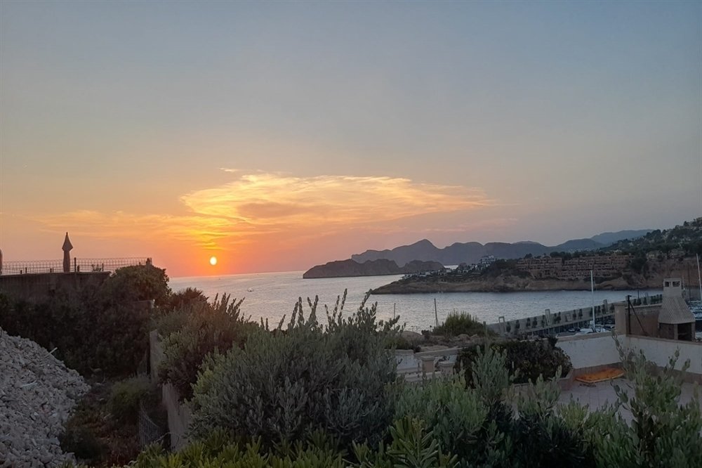 House in Calvia, Balearic Islands, Spain 2 - 15279856