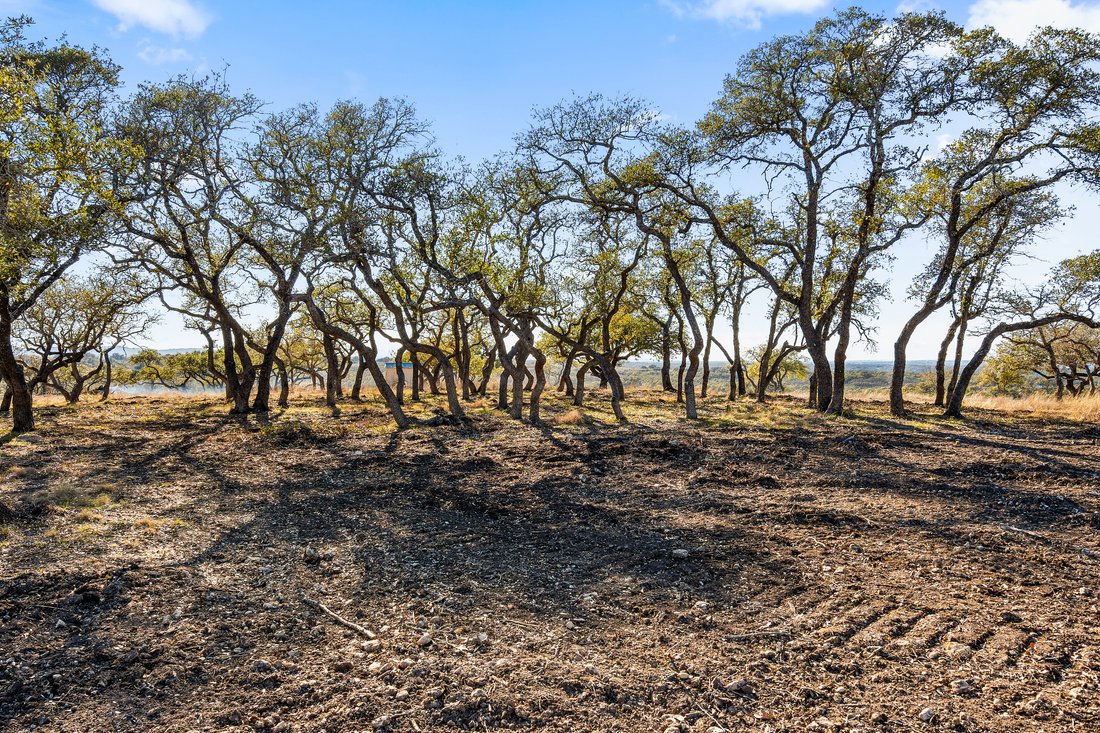 Land in Johnson City, Texas, United States 3 - 15282724