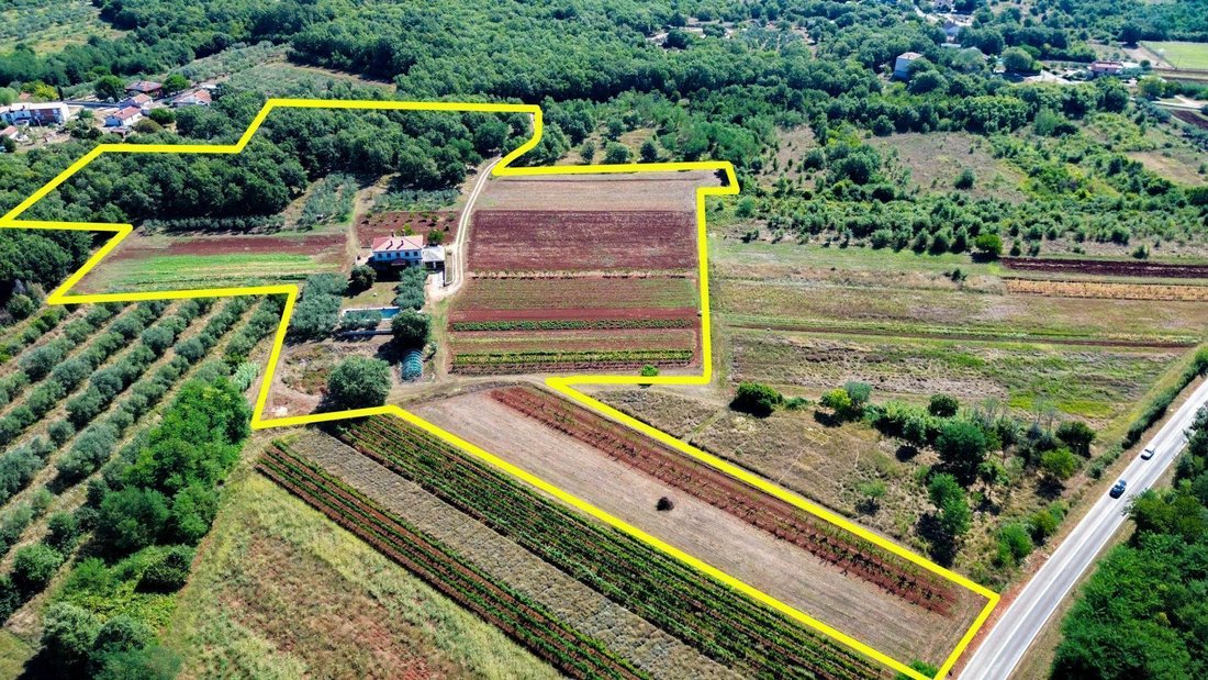 Villa in Umag, Istria County, Croatia 3 - 14683763