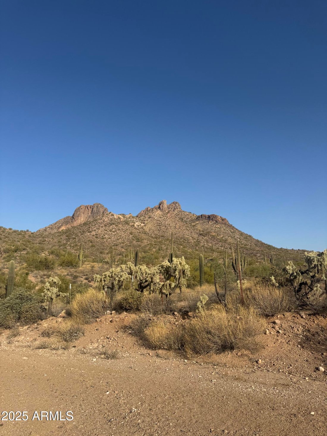 Land in Apache Junction, Arizona, Vereinigte Staaten 2 - 15285813