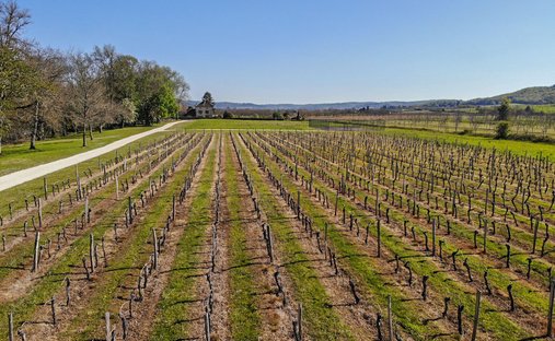 Castle for Sale in Prayssac, Occitanie, France