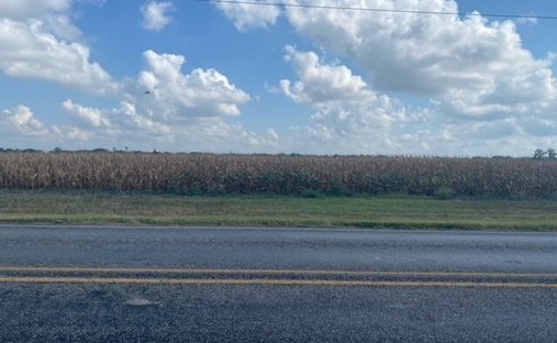 Land in Kingsville, Texas, United States 1