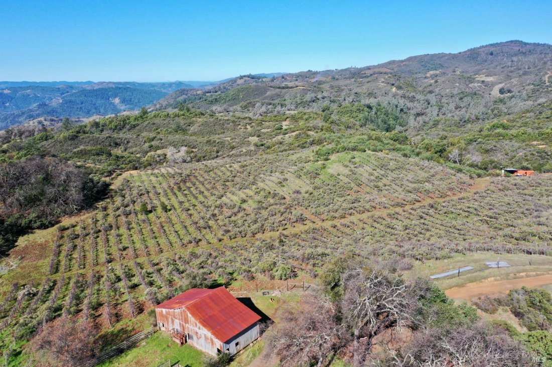House in Cloverdale, California, United States 4 - 15278917