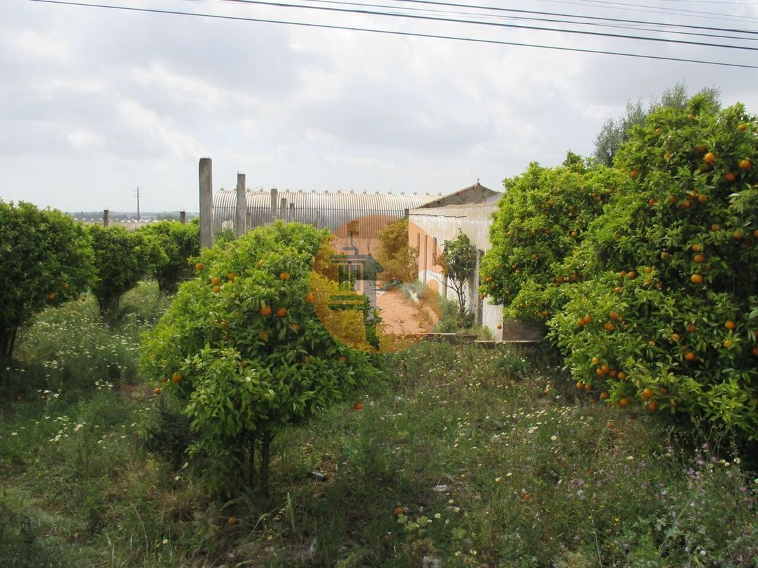 Land in Santa Barbara de Nexe, Algarve, Portugal 1 - 15285589