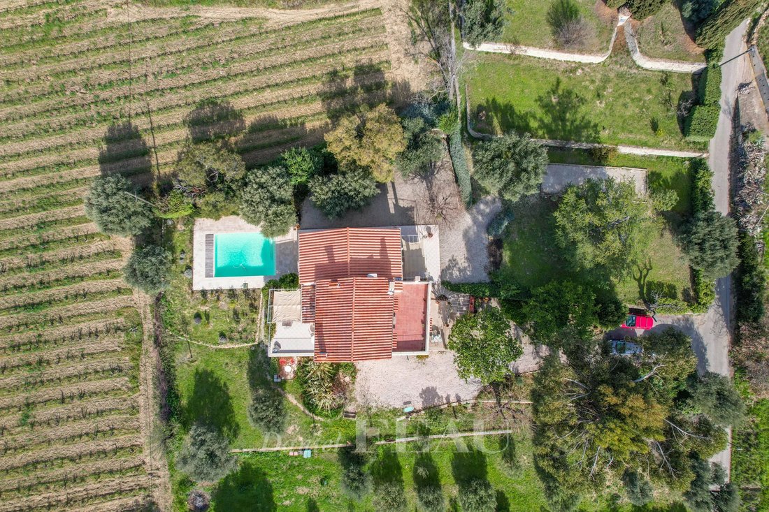 House in Le Castellet, Provence-Alpes-Côte d'Azur, France 1 - 15273738
