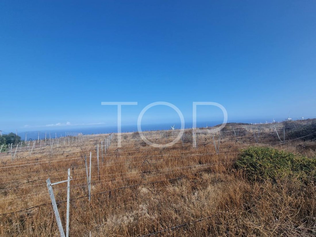 Land in Arico, Canary Islands, Spain 5 - 15288369