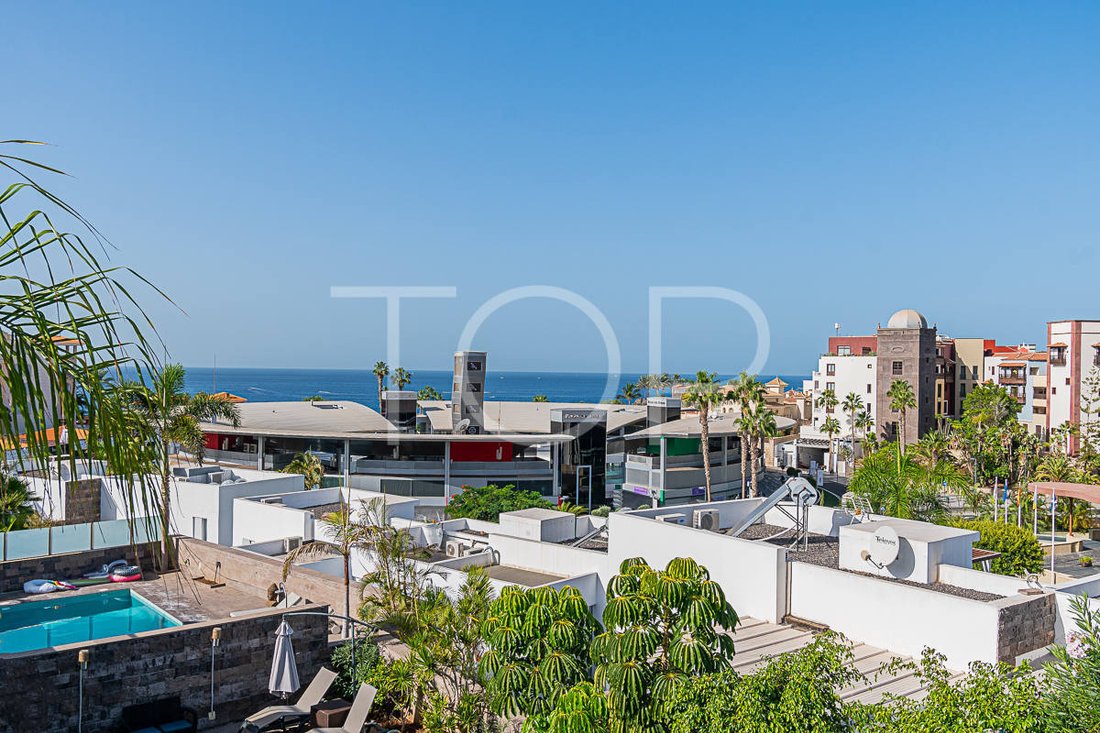 House in Costa Adeje, Adeje, Canary Islands 4 - 15288389