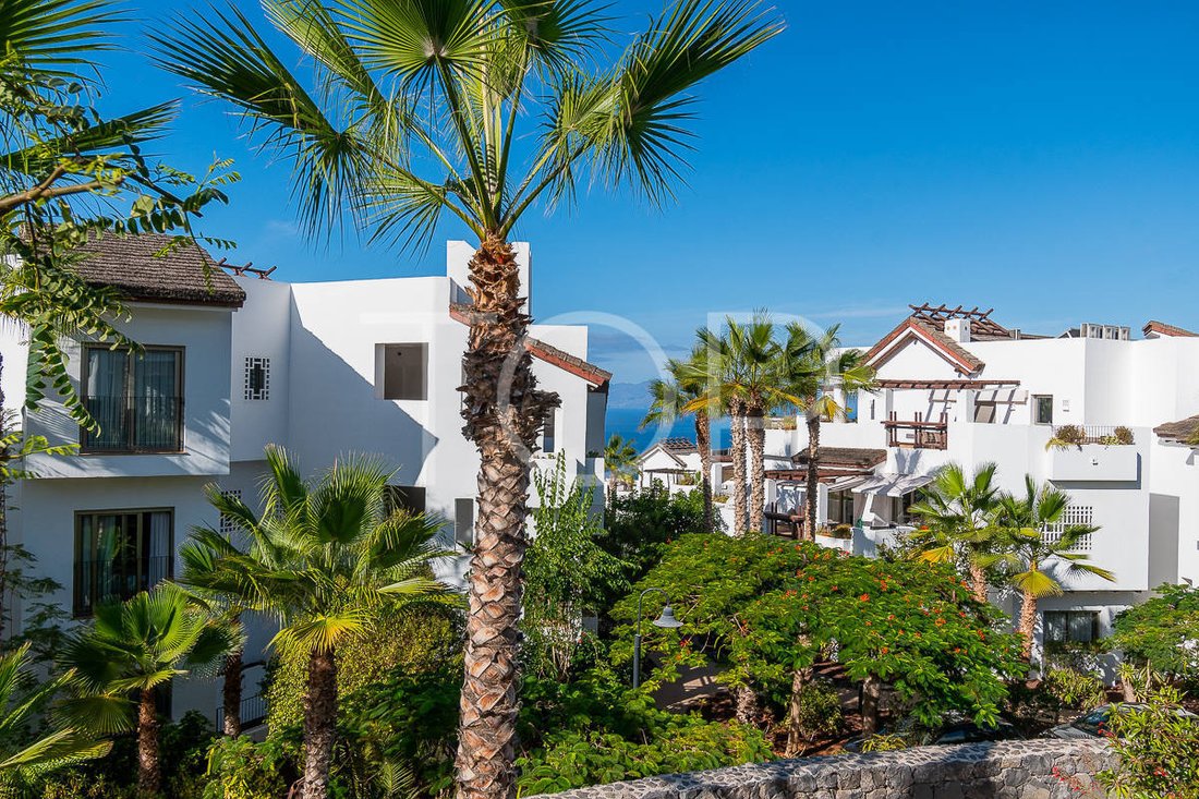 Apartment in Guia de Isora, Canary Islands, Spain 5 - 15288434
