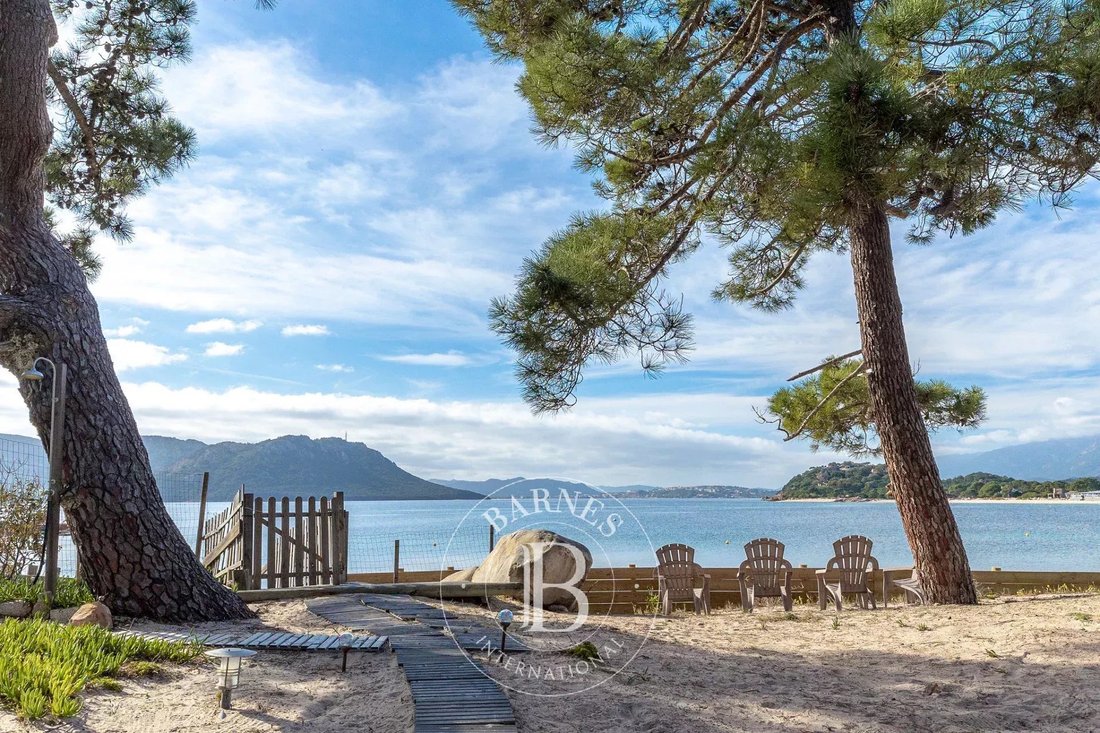 Villa in Lecci, Corsica, France 3 - 15287081