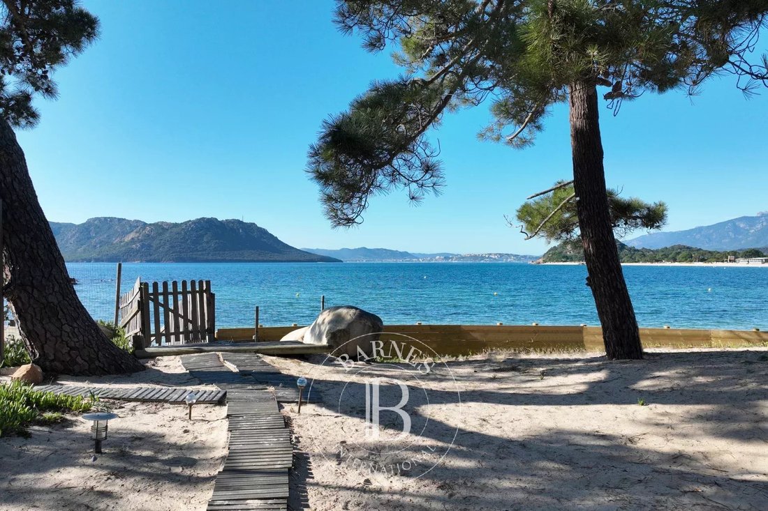 Villa in Lecci, Corsica, France 2 - 15287081