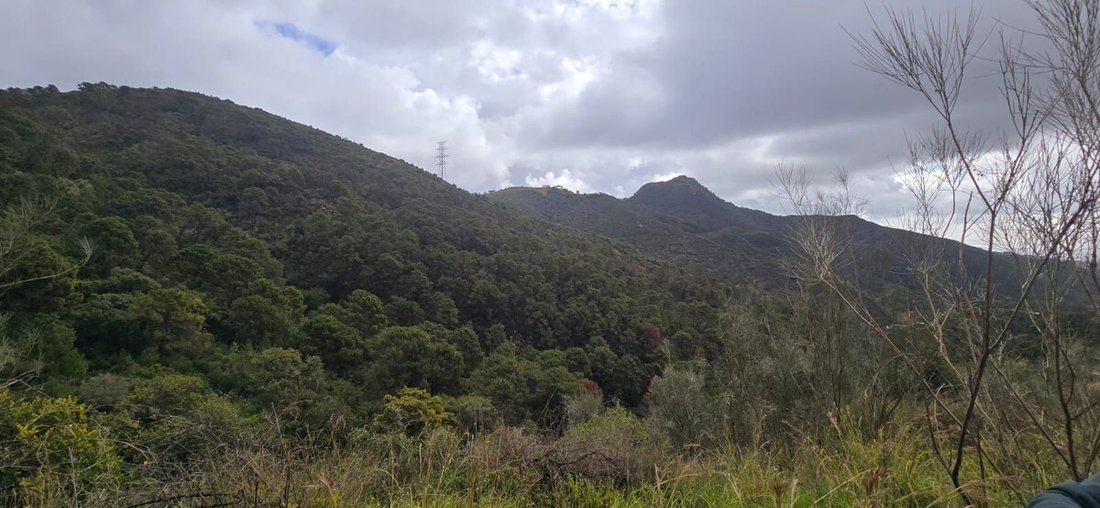 Land in Benahavis, Andalusia, Spain 5 - 15290356
