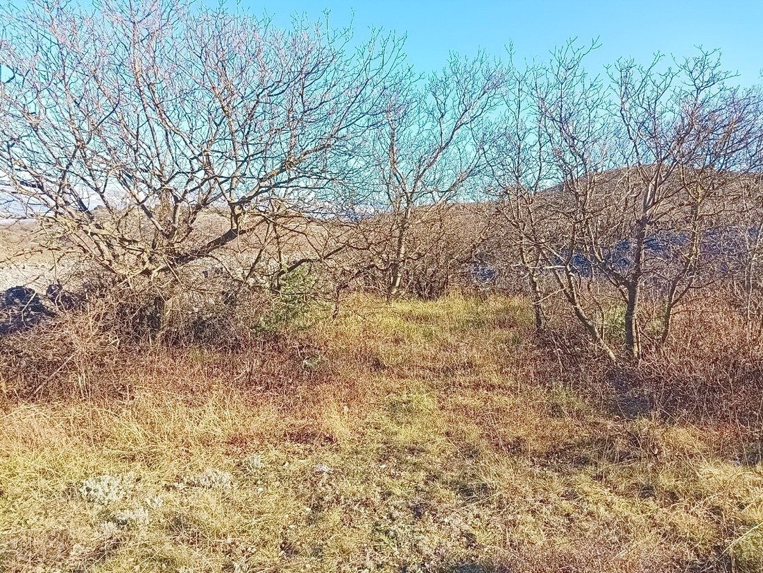 Land in Vrbnik, Primorje-Gorski Kotar County, Croatia 4 - 15074392