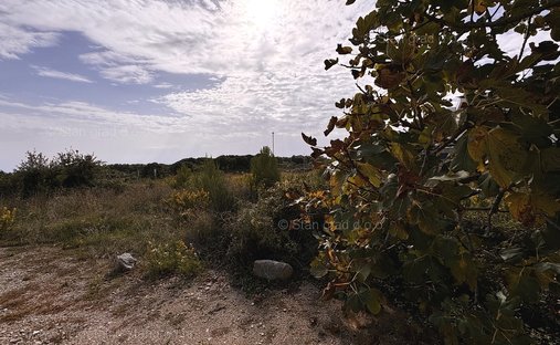 Terreno a Veglia, Regione litoraneo-montana, Croazia 1