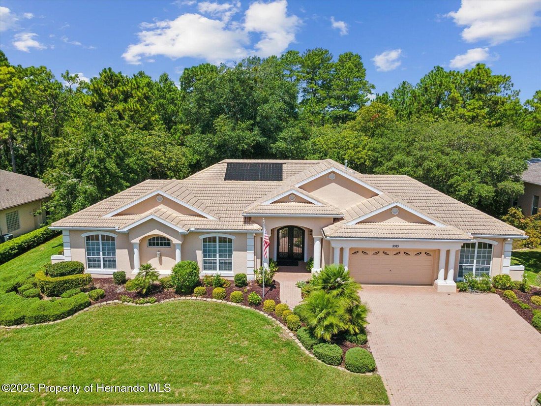 House in Spring Hill, Florida, United States 2 - 15290331