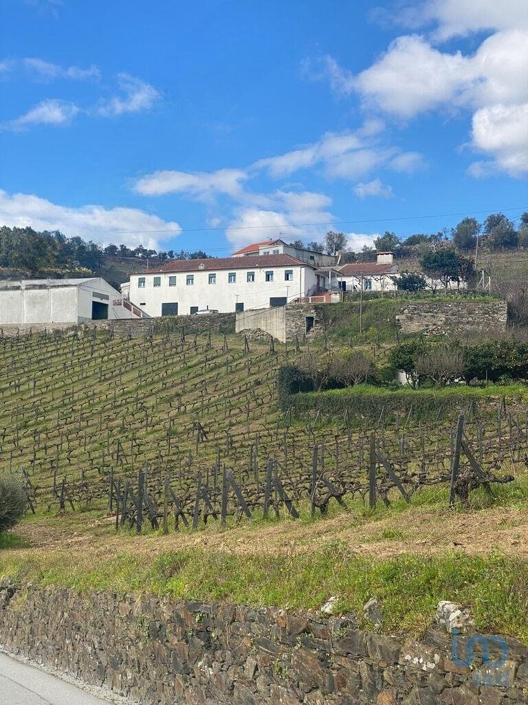 Townhouse in Fontelas, Vila Real District, Portugal 3 - 15290737