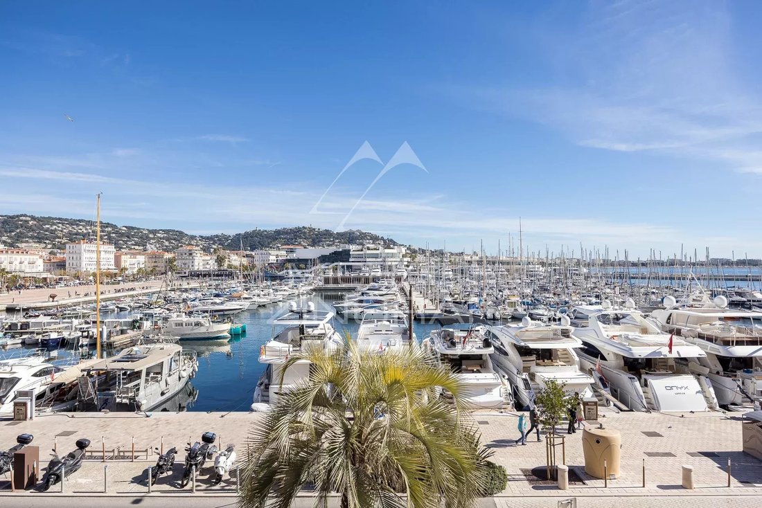 Apartment in Cannes, Provence-Alpes-Côte d'Azur, France 2 - 15289401