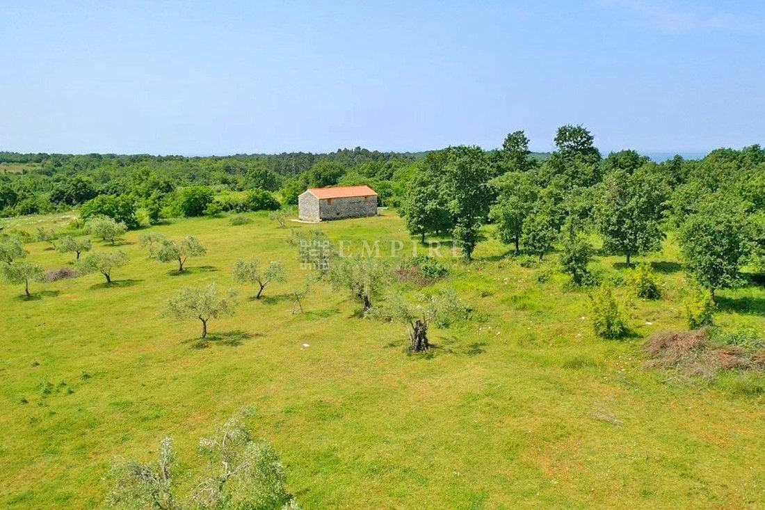 Land in Porec, Istria County, Croatia 2 - 15102870