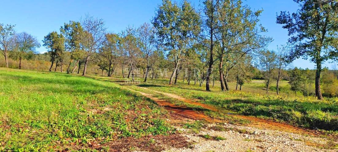 Land in Porec, Istria County, Croatia 3 - 13609116