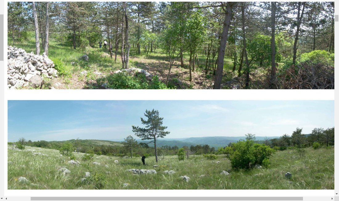 Land in Oprtalj, Istria County, Croatia 2 - 15102623