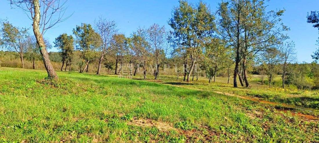 Land in Porec, Istria County, Croatia 1 - 13609116