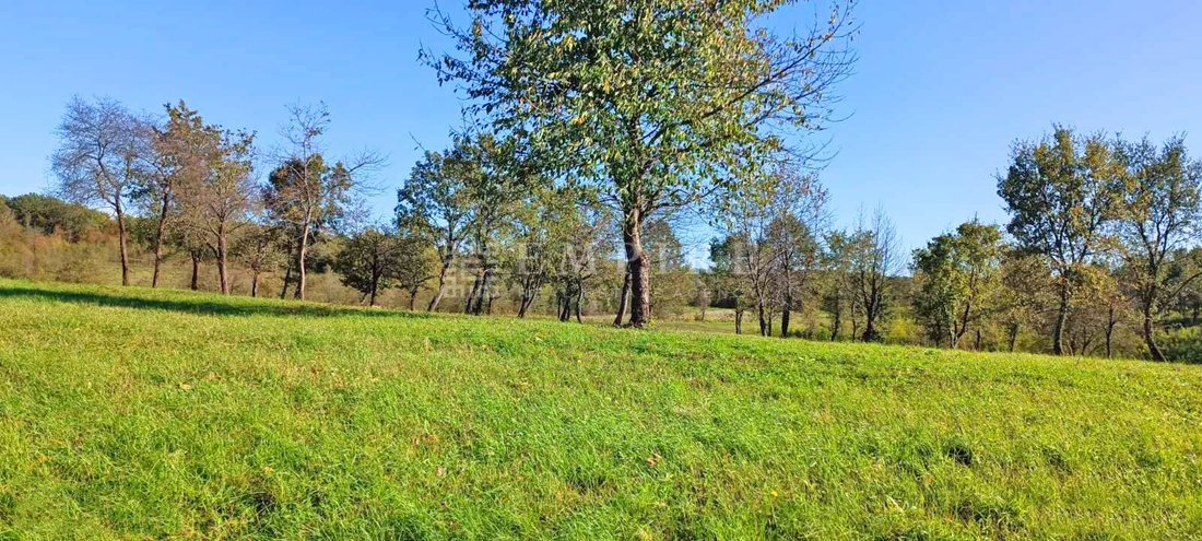 Land in Porec, Istria County, Croatia 5 - 13609116